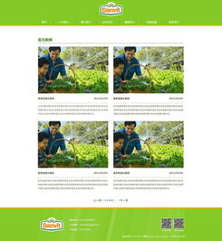 天津網站設計 奔唐網絡飲料原料官網設計